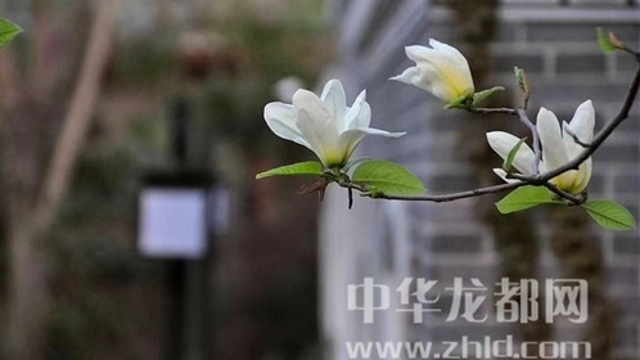 淮陽蓮舍，多了一份味道