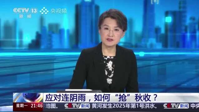 【主流媒體看周口】面對連陰雨 如何“搶”秋收？