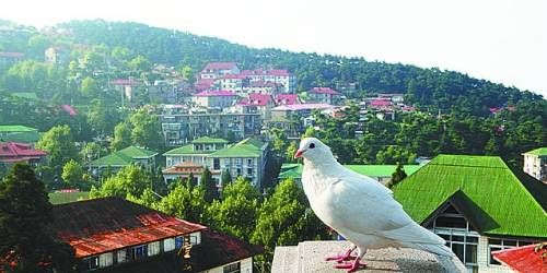  有著“云中山城”之稱的牯嶺鎮(zhèn)面臨著遷民下山。